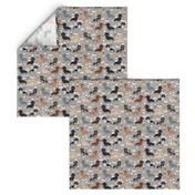 dachshund coffee fabric, coffees and lattes fabric - grey