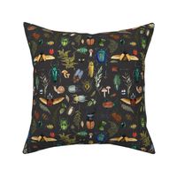 Bugs and Insects Woodland Forest on Charcoal Black