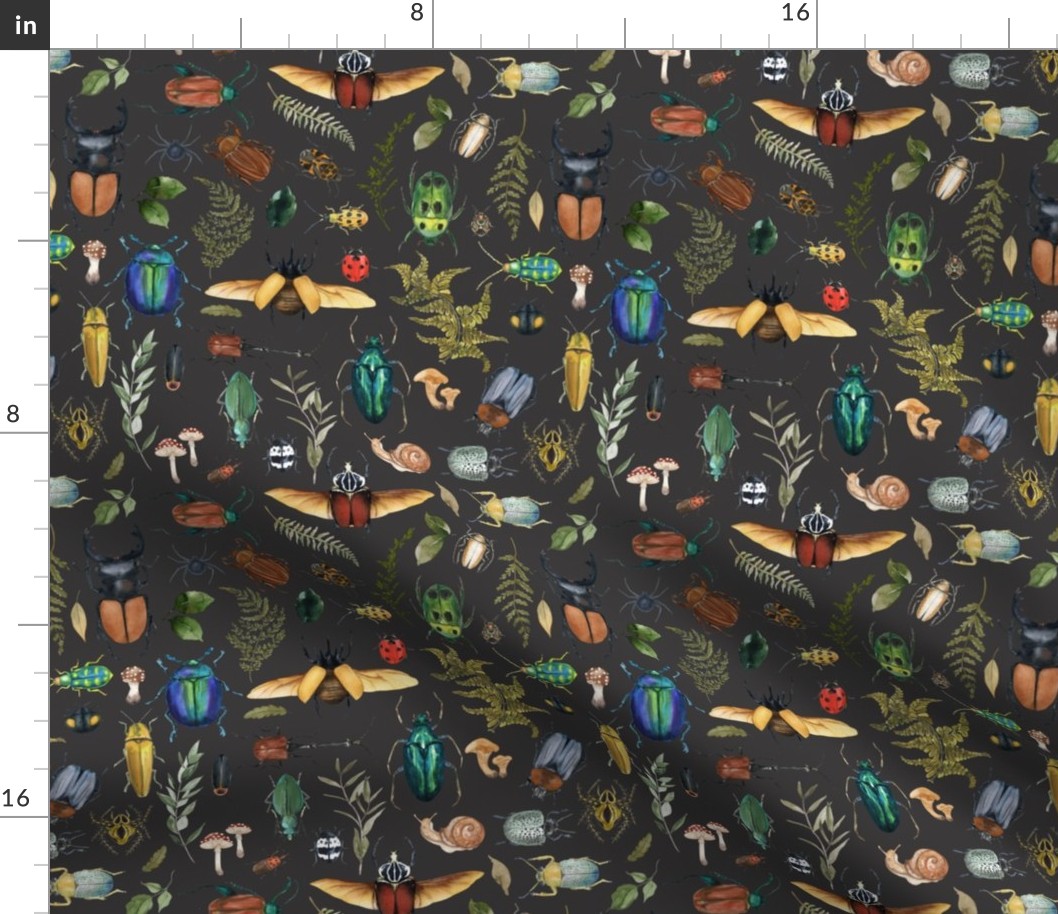 Bugs and Insects Woodland Forest on Charcoal Black
