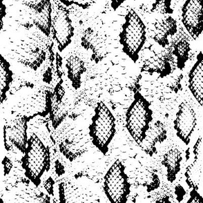 Snake skin texture. Seamless pattern black on white background. 3