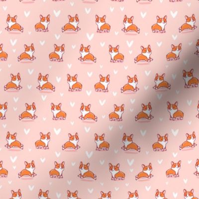 Cute corgi pink pattern