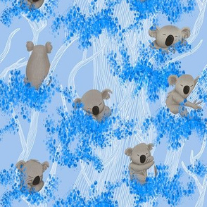 Sleeping Koala Bears on blue Eucalyptus Trees and Background