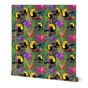 RAINFOREST TOUCAN BIRD LARGE  EXOTIC FLOWERS JUNGLE