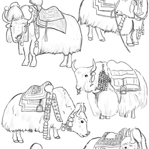 Tibetan Yaks in Black and White