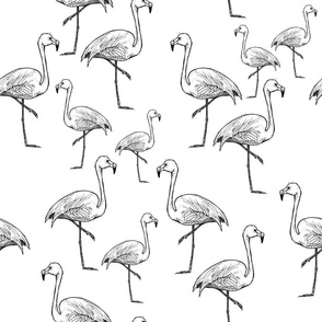 Black and White Flamingos - Larger Size