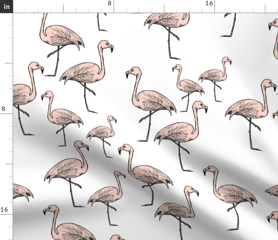 Pink Flamingos on White Background - Larger Size