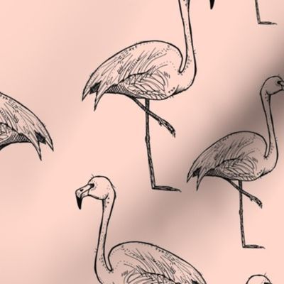Flamingos on Peachy Pink - Larger Size