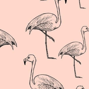 Flamingos on Peachy Pink - Larger Size