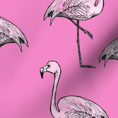 Brighter Pink Flamingos - Larger Size