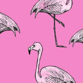 Brighter Pink Flamingos - Larger Size