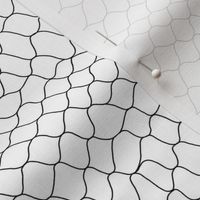 Fishnet by Minikuosi (Grid, Net, Web, Hockey Goal, Football Goal) Black and White Large Scale