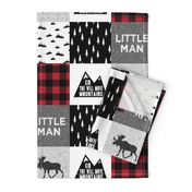 Little Man & You Will Move Mountains Quilt Top - buffalo plaid