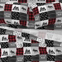 Little Man & You Will Move Mountains Quilt Top - buffalo plaid