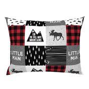 Little Man & You Will Move Mountains Quilt Top - buffalo plaid