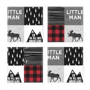 Little Man & You Will Move Mountains Quilt Top - buffalo plaid