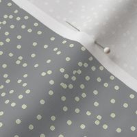 Silver Dots on Foggy Grey