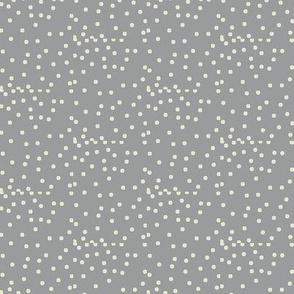 Silver Dots on Foggy Grey