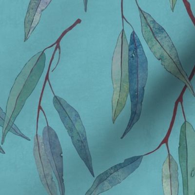 Eucalyptus leaves on blue