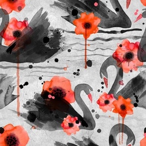 black swans and poppies