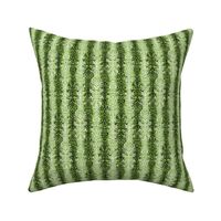 Ornamental Stripe - Sewing Swatches Green