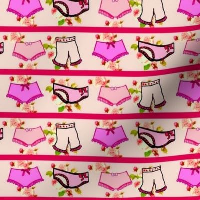 panty raid