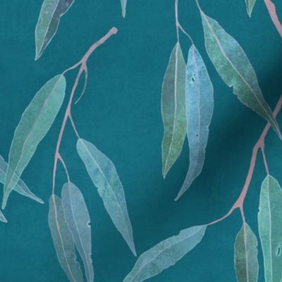 Eucalyptus leaves on teal