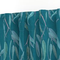 Eucalyptus leaves on teal