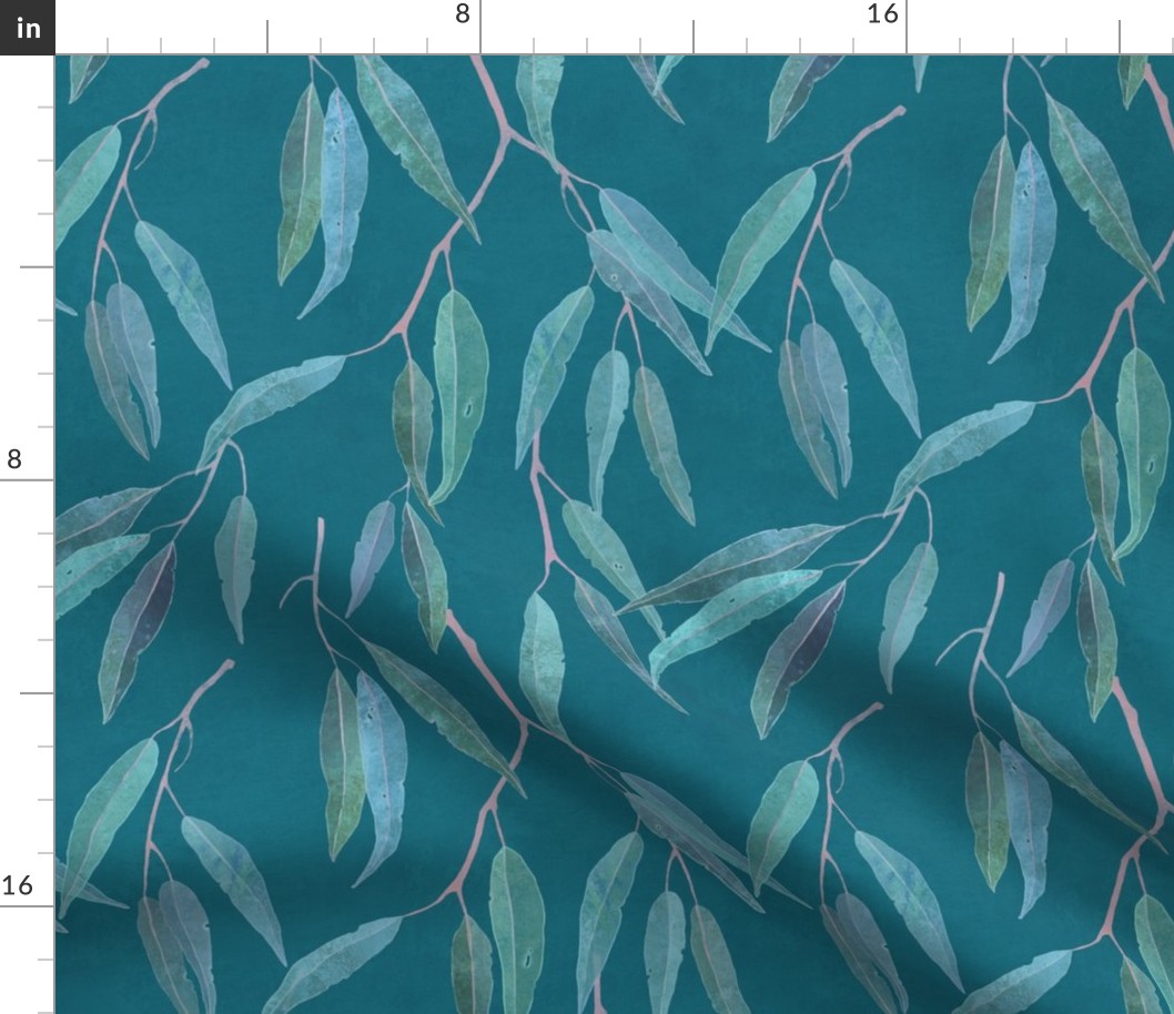 Eucalyptus leaves on teal