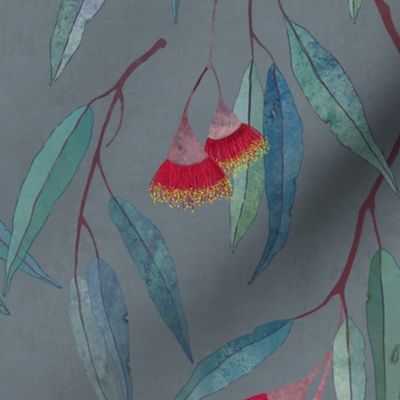 Eucalyptus leaves and flowers on grey