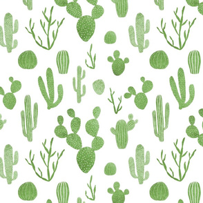 Green cacti on white