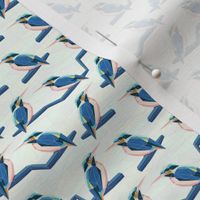 geodesic kingfisher blue and white