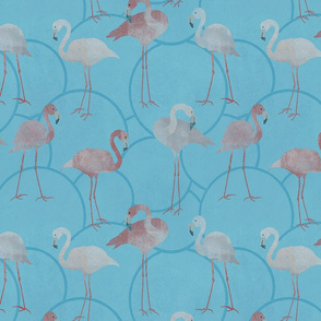 Walk with pink flamingos on bright blue