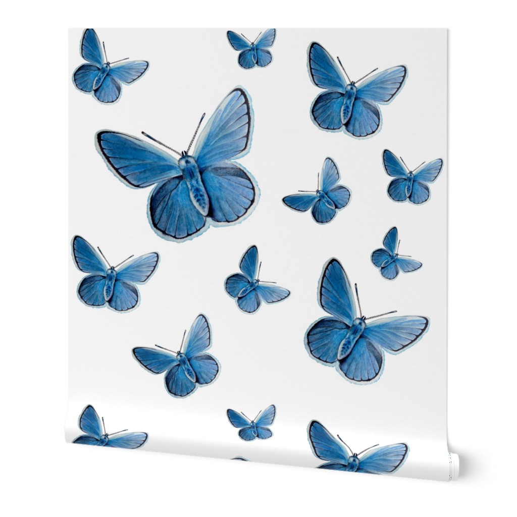 blue butterfly flight