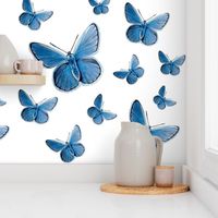 blue butterfly flight