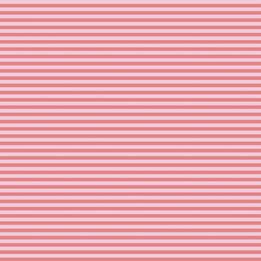 Dark and Light Pink Stripes