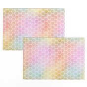 Pastel Rainbow Watercolor HoneyComb Pattern