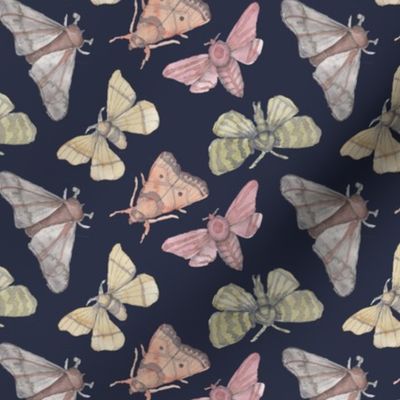 Moths w Dark Blue 