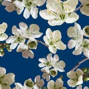  Almond Blossoms and Blue