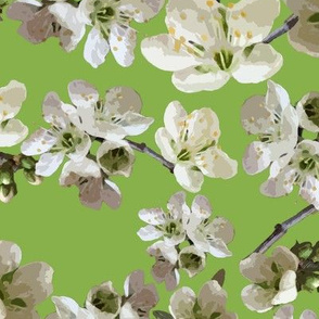 Almond Blossoms and Green