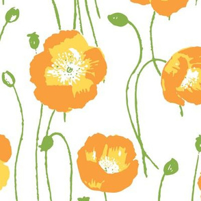 poppies - orange