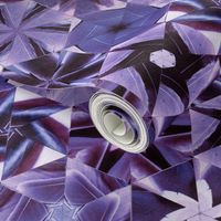 Feather hexagonal purple quilt