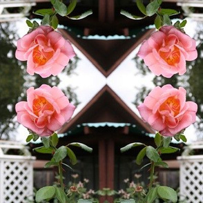 Trellised Pink Roses Reflected, XL