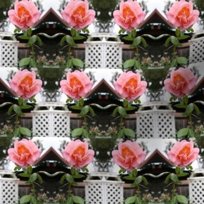 Trellised Pink Roses - half brick repeat