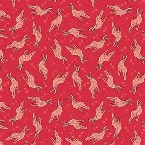 Ibex single red