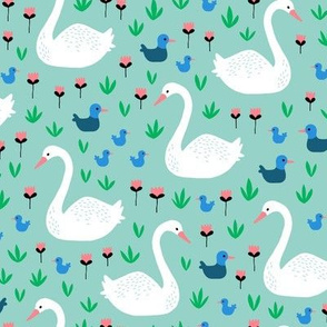 Swans and ducks swimming pond on mint