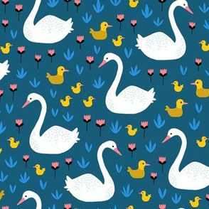 Swans and ducks swimming pond on navy
