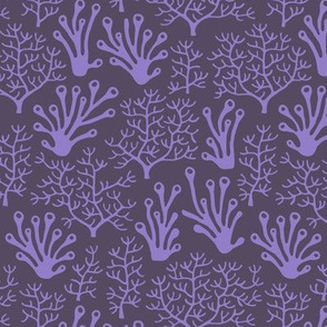 Coral reef purple