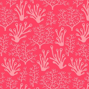 Coral reef hot pink