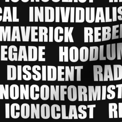 Dissident Synonyms