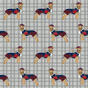 welsh terrier bagpipes fabric dogs in costume fabric tartan